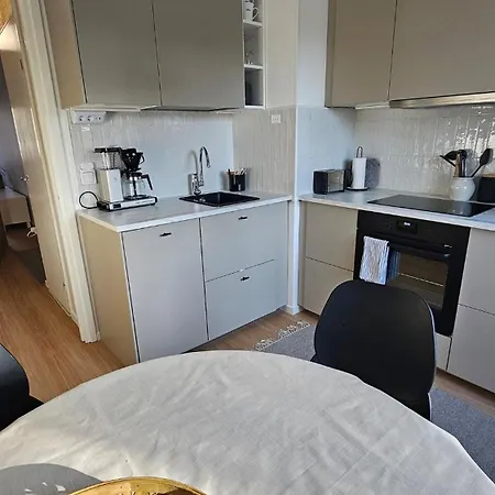 Rauhallinen Kodikas Kaksio, Ilmainen Pysaekoeinti Apartment Tampere